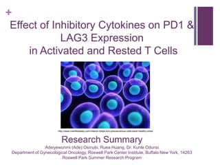 +
Effect of Inhibitory Cytokines on PD1 &
LAG3 Expression
in Activated and Rested T Cells
Research Summary
Adeiyewunmi (Ade) Osinubi, Ruea Huang, Dr. Kunle Odunsi
Department of Gynecological Oncology, Roswell Park Center Institute, Buffalo New York, 14263
Roswell Park Summer Research Program
http://www.manifestdaily.com/vitamin-helps-turn-precancerous-cells-back-healthy-ones/
 