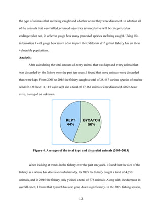 12	
the type of animals that are being caught and whether or not they were discarded. In addition all
of the animals that were killed, returned injured or returned alive will be categorized as
endangered or not, in order to gauge how many protected species are being caught. Using this
information I will gauge how much of an impact the California drift gillnet fishery has on these
vulnerable populations.
Analysis:
After calculating the total amount of every animal that was kept and every animal that
was discarded by the fishery over the past ten years, I found that more animals were discarded
than were kept. From 2005 to 2015 the fishery caught a total of 28,447 various species of marine
wildlife. Of these 11,115 were kept and a total of 17,362 animals were discarded either dead,
alive, damaged or unknown.
Figure 4. Averages of the total kept and discarded animals (2005-2015)
When looking at trends in the fishery over the past ten years, I found that the size of the
fishery as a whole has decreased substantially. In 2005 the fishery caught a total of 4,650
animals, and in 2015 the fishery only yielded a total of 778 animals. Along with the decrease in
overall catch, I found that bycatch has also gone down significantly. In the 2005 fishing season,
 