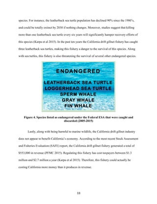 18	
species. For instance, the leatherback sea turtle population has declined 90% since the 1980’s,
and could be totally extinct by 2030 if nothing changes. Moreover, studies suggest that killing
more than one leatherback sea turtle every six years will significantly hamper recovery efforts of
this species (Karpa et al 2015). In the past ten years the California drift gillnet fishery has caught
three leatherback sea turtles, making this fishery a danger to the survival of this species. Along
with sea turtles, this fishery is also threatening the survival of several other endangered species.
Figure 4. Species listed as endangered under the Federal ESA that were caught and
discarded (2005-2015)
Lastly, along with being harmful to marine wildlife, the California drift gillnet industry
does not appear to benefit California’s economy. According to the most recent Stock Assessment
and Fisheries Evaluation (SAFE) report, the California drift gillnet fishery generated a total of
$553,000 in revenue (PFMC 2015). Regulating this fishery has cost taxpayers between $1.3
million and $2.7 million a year (Karpa et al 2015). Therefore, this fishery could actually be
costing California more money than it produces in revenue.
 