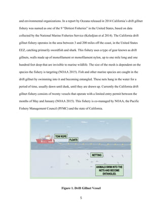 5	
and environmental organizations. In a report by Oceana released in 2014 California’s drift gillnet
fishery was named as one of the 9 “Dirtiest Fisheries” in the United States, based on data
collected by the National Marine Fisheries Service (Keledjian et al 2014). The California drift
gillnet fishery operates in the area between 3 and 200 miles off the coast, in the United States
EEZ, catching primarily swordfish and shark. This fishery uses a type of gear known as drift
gillnets, walls made up of monofilament or monofilament nylon, up to one mile long and one
hundred feet deep that are invisible to marine wildlife. The size of the mesh is dependent on the
species the fishery is targeting (NOAA 2015). Fish and other marine species are caught in the
drift gillnet by swimming into it and becoming entangled. These nets hang in the water for a
period of time, usually dawn until dusk, until they are drawn up. Currently the California drift
gillnet fishery consists of twenty vessels that operate with a limited entry permit between the
months of May and January (NOAA 2015). This fishery is co-managed by NOAA, the Pacific
Fishery Management Council (PFMC) and the state of California.
Figure 1. Drift Gillnet Vessel
 