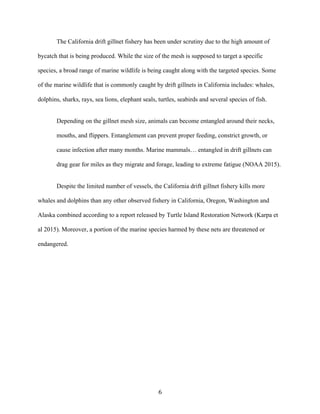6	
The California drift gillnet fishery has been under scrutiny due to the high amount of
bycatch that is being produced. While the size of the mesh is supposed to target a specific
species, a broad range of marine wildlife is being caught along with the targeted species. Some
of the marine wildlife that is commonly caught by drift gillnets in California includes: whales,
dolphins, sharks, rays, sea lions, elephant seals, turtles, seabirds and several species of fish.
Depending on the gillnet mesh size, animals can become entangled around their necks,
mouths, and flippers. Entanglement can prevent proper feeding, constrict growth, or
cause infection after many months. Marine mammals… entangled in drift gillnets can
drag gear for miles as they migrate and forage, leading to extreme fatigue (NOAA 2015).
Despite the limited number of vessels, the California drift gillnet fishery kills more
whales and dolphins than any other observed fishery in California, Oregon, Washington and
Alaska combined according to a report released by Turtle Island Restoration Network (Karpa et
al 2015). Moreover, a portion of the marine species harmed by these nets are threatened or
endangered.
 
