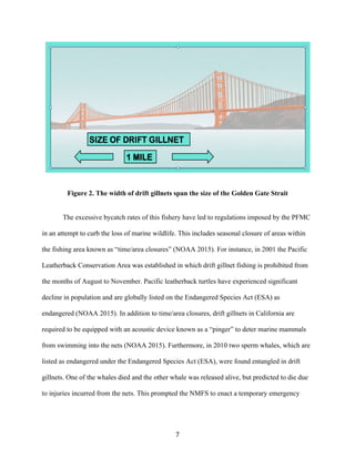 7	
Figure 2. The width of drift gillnets span the size of the Golden Gate Strait
The excessive bycatch rates of this fishery have led to regulations imposed by the PFMC
in an attempt to curb the loss of marine wildlife. This includes seasonal closure of areas within
the fishing area known as “time/area closures” (NOAA 2015). For instance, in 2001 the Pacific
Leatherback Conservation Area was established in which drift gillnet fishing is prohibited from
the months of August to November. Pacific leatherback turtles have experienced significant
decline in population and are globally listed on the Endangered Species Act (ESA) as
endangered (NOAA 2015). In addition to time/area closures, drift gillnets in California are
required to be equipped with an acoustic device known as a “pinger” to deter marine mammals
from swimming into the nets (NOAA 2015). Furthermore, in 2010 two sperm whales, which are
listed as endangered under the Endangered Species Act (ESA), were found entangled in drift
gillnets. One of the whales died and the other whale was released alive, but predicted to die due
to injuries incurred from the nets. This prompted the NMFS to enact a temporary emergency
 