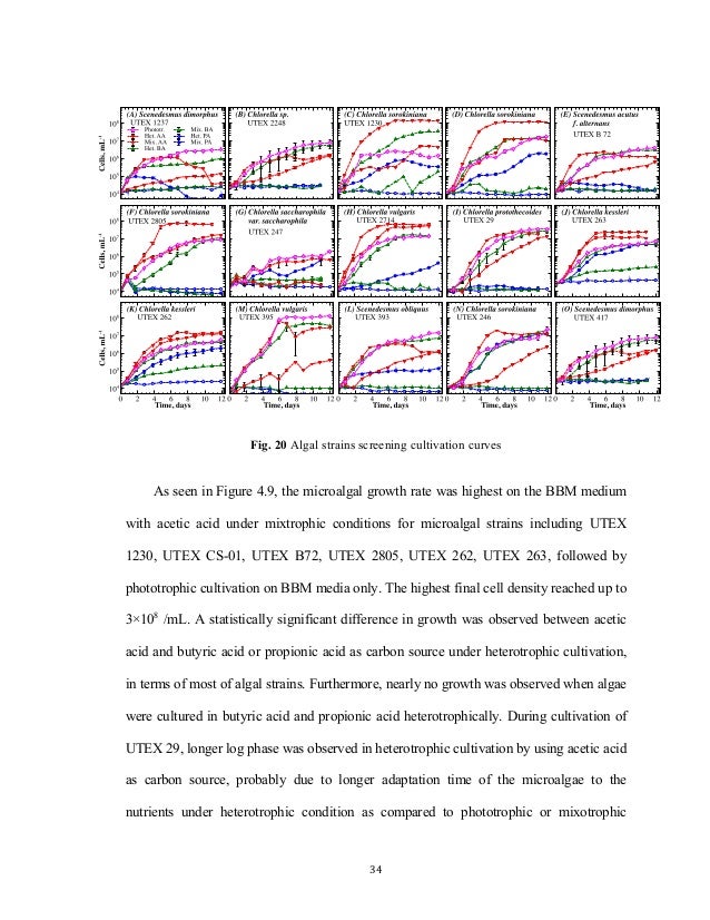 Biodiesel production master thesis