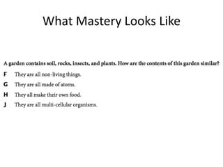 What Mastery Looks Like
 