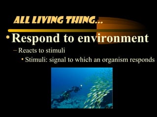 All living thing…
• Respond to environment
 – Reacts to stimuli
    • Stimuli: signal to which an organism responds
 