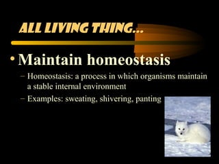 All living thing…

• Maintain homeostasis
 – Homeostasis: a process in which organisms maintain
   a stable internal environment
 – Examples: sweating, shivering, panting
 