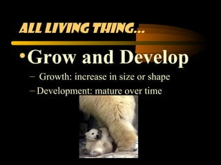 All living thing…

• Grow and Develop
 – Growth: increase in size or shape
 – Development: mature over time
 