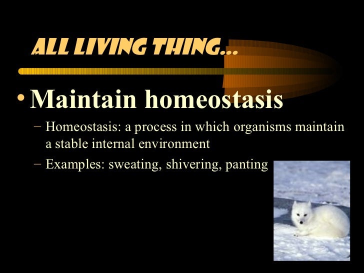 8 characteristics of life notes