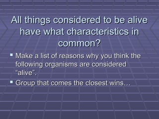 All things considered to be alive
  have what characteristics in
            common?
 Make a list of reasons why you think the
  following organisms are considered
  “alive”.
 Group that comes the closest wins…
 