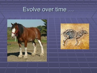 Evolve over time …
 