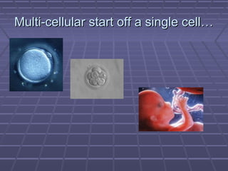 Multi-cellular start off a single cell…
 