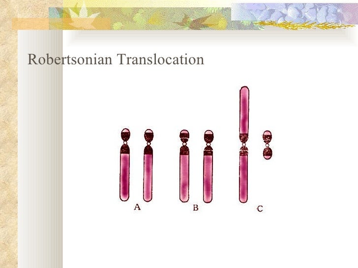 8 Chromosome Disorder 8 Chromosome Disorder