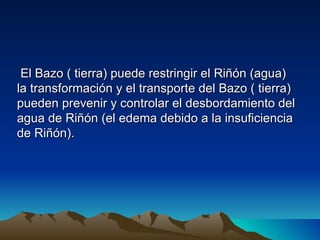 El Bazo ( tierra) puede restringir el Riñón (agua)
la transformación y el transporte del Bazo ( tierra)
pueden prevenir y controlar el desbordamiento del
agua de Riñón (el edema debido a la insuficiencia
de Riñón).
 