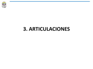 3. ARTICULACIONES