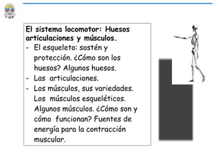 El sistema locomotor: Huesos
articulaciones y músculos.
- El esqueleto: sostén y
protección. ¿Cómo son los
huesos? Algunos huesos.
- Las articulaciones.
- Los músculos, sus variedades.
Los músculos esqueléticos.
Algunos músculos. ¿Cómo son y
cómo funcionan? Fuentes de
energía para la contracción
muscular.