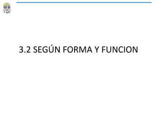 3.2 SEGÚN FORMA Y FUNCION