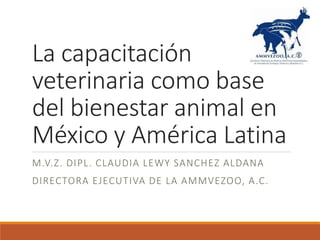La capacitación
veterinaria como base
del bienestar animal en
México y América Latina
M.V.Z. DIPL. CLAUDIA LEWY SANCHEZ ALDANA
DIRECTORA EJECUTIVA DE LA AMMVEZOO, A.C.
 