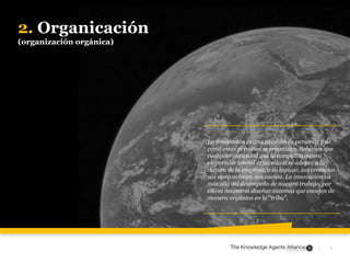 3|
2. Organicación
(organización orgánica)
La innovación es una cuestión de personas y de
como estas personas se organizan...
