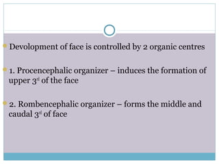 Devolopment of face is controlled by 2 organic centres
1. Procencephalic organizer – induces the formation of
upper 3rd
of the face
2. Rombencephalic organizer – forms the middle and
caudal 3rd
of face
 