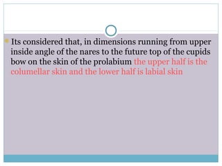 Its considered that, in dimensions running from upper
inside angle of the nares to the future top of the cupids
bow on the skin of the prolabium the upper half is the
columellar skin and the lower half is labial skin
 