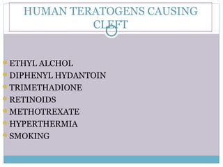 HUMAN TERATOGENS CAUSING
CLEFT
ETHYL ALCHOL
DIPHENYL HYDANTOIN
TRIMETHADIONE
RETINOIDS
METHOTREXATE
HYPERTHERMIA
SMOKING
 