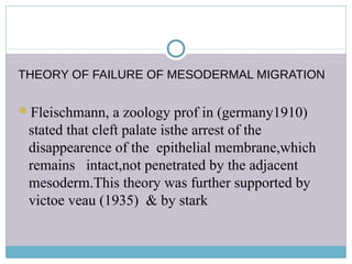THEORY OF FAILURE OF MESODERMAL MIGRATION
Fleischmann, a zoology prof in (germany1910)
stated that cleft palate isthe arrest of the
disappearence of the epithelial membrane,which
remains intact,not penetrated by the adjacent
mesoderm.This theory was further supported by
victoe veau (1935) & by stark
 