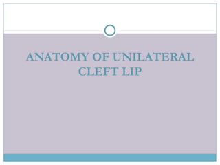 ANATOMY OF UNILATERAL
CLEFT LIP
 