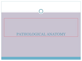 PATHOLOGICAL ANATOMY
 