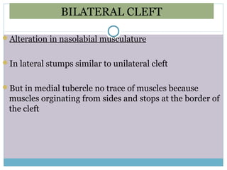 BILATERAL CLEFT
Alteration in nasolabial musculature
In lateral stumps similar to unilateral cleft
But in medial tubercle no trace of muscles because
muscles orginating from sides and stops at the border of
the cleft
 