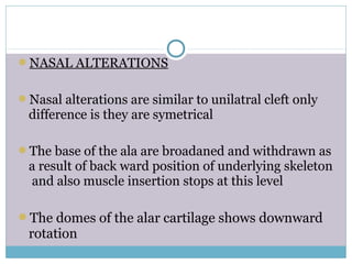 NASAL ALTERATIONS
Nasal alterations are similar to unilatral cleft only
difference is they are symetrical
The base of the ala are broadaned and withdrawn as
a result of back ward position of underlying skeleton
and also muscle insertion stops at this level
The domes of the alar cartilage shows downward
rotation
 