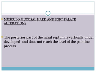 MUSCULO MUCOSAL HARD AND SOFT PALATE
ALTERATIONS
The posterior part of the nasal septum is vertically under
devoloped and does not reach the level of the palatine
process
 