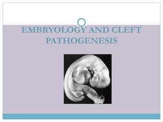 EMBRYOLOGY AND CLEFT
PATHOGENESIS
 