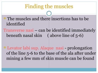 Finding the muscles
The muscles and there insertions has to be
identified
Transverse nasi – can be identified immediately
beneath nasal skin ( above line of 5-6)
Levator labi sup. Alaque nasi - prolongation
of the line 5-6 to the base of the ala after under
mining a few mm of skin muscle can be found
 