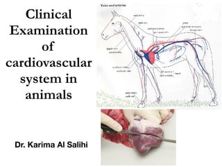 Clinical
Examination
of
cardiovascular
system in
animals
Dr. Karima Al Salihi
 