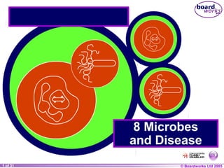 8 Microbes 
and Disease 
11 ooff 3210 © BBooaarrddwwoorrkkss LLttdd 22000045 
 