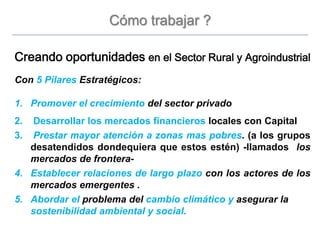 Cómo trabajar ?
Creando oportunidades en el Sector Rural y Agroindustrial
Con 5 Pilares Estratégicos:
1. Promover el crecimiento del sector privado
2. Desarrollar los mercados financieros locales con Capital
3. Prestar mayor atención a zonas mas pobres. (a los grupos
desatendidos dondequiera que estos estén) -llamados los
mercados de frontera-
4. Establecer relaciones de largo plazo con los actores de los
mercados emergentes .
5. Abordar el problema del cambio climático y asegurar la
sostenibilidad ambiental y social.
 