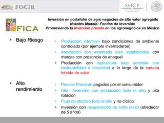 Inversión en portafolio de agro negocios de alto valor agregado
Nuestro Modelo: Fondos de Inversión
Promoviendo la inversión privada en los agronegocios en México
• Bajo Riesgo
• Alto
rendimiento
• Producción intensiva bajo condiciones de ambiente
controlado (por ejemplo invernaderos)
• Asociación con empresas bien establecidas con
marcas con presencia de anaquel
• Producción con agricultura bajo contrato con
rastreabilidad e inocuidad a lo largo de la cadena
hibrida de valor
• Precios Premium pagados por el consumidor
• Alta inversión con producción todo el año y alta
rotación
• Flujo de efectivo todo el año y no cíclico
• Inversión con recuperación de corto plazo (alrededor
de 5 años)
 
