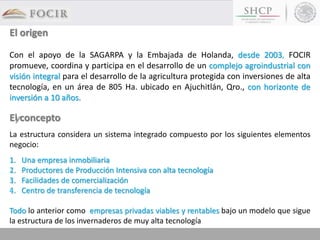 El origen
Con el apoyo de la SAGARPA y la Embajada de Holanda, desde 2003, FOCIR
promueve, coordina y participa en el desarrollo de un complejo agroindustrial con
visión integral para el desarrollo de la agricultura protegida con inversiones de alta
tecnología, en un área de 805 Ha. ubicado en Ajuchitlán, Qro., con horizonte de
inversión a 10 años.
El concepto
La estructura considera un sistema integrado compuesto por los siguientes elementos
negocio:
1. Una empresa inmobiliaria
2. Productores de Producción Intensiva con alta tecnología
3. Facilidades de comercialización
4. Centro de transferencia de tecnología
Todo lo anterior como empresas privadas viables y rentables bajo un modelo que sigue
la estructura de los invernaderos de muy alta tecnología
 