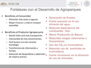 Fortalezas con el Desarrollo de Agroparques
• Beneficios al Consumidor
– Alimentos más sanos y seguros.
– Mayor Frescura y vida en anaquel
extendida.
• Beneficios al Productor Agropecuario
– Red de Valor será más transparente.
– Intercambio de más conocimientos.
– Fácil Acceso a la más reciente
tecnología.
– Transferencia de información a
tiempo.
– Reducción de Desperdicios y obtención
de mejores precios.
• Generación de Empleo
• Fuerte aumento en el uso
eficiente del agua.
• Reducida dependencia del
combustible fósil.
• Menor Producción de Basura
• Reducidos riesgos veterinarios y
fitosanitarios.
• Uso del CO2 en Invernaderos
• Reducido uso de pesticidas en
invernaderos
• Fuerte incremento en la eficiencia
de uso de minerales.
 
