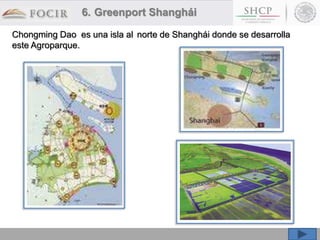 Chongming Dao es una isla al norte de Shanghái donde se desarrolla
este Agroparque.
6. Greenport Shanghái
 