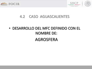 4.2 CASO AGUASCALIENTES
• DESARROLLO DEL MFC DEFINIDO CON EL
NOMBRE DE:
AGROSFERA
 