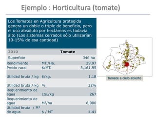 Los Tomates en Agricultura protegida
genera un doble o triple de beneficio, pero
el uso absoluto por hectáreas es todavía
alto (Los sistemas cerrados sólo utilizarían
10-15% de esa cantidad)
2010 Tomate
Superficie 346 ha
Rendimiento MT./Ha. 29.97
Precio rural $/MT. 3,161.95
Utilidad bruta / kg $/kg. 1.18
Utilidad bruta / kg % 32%
Requerimiento de
agua Lts./kg 267
Requerimiento de
agua M3/ha 8,000
Utilidad bruta / M3
de agua $ / MT 4.41
Ejemplo : Horticultura (tomate)
Tomate a cielo abierto
 