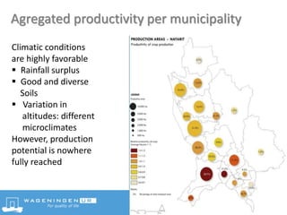 Agregated productivity per municipality
Climatic conditions
are highly favorable
 Rainfall surplus
 Good and diverse
Soils
 Variation in
altitudes: different
microclimates
However, production
potential is nowhere
fully reached
 