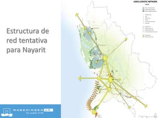 Estructura de
red tentativa
para Nayarit
 