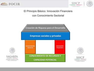 CONOCIMIENTO DE RECURSOS Y
CAPACIDAD POTENCIAL
Creación de Riqueza para el Desarrollo
Innovación
Financiera
Conocimiento
Sectorial
Empresas sociales y privadas
El Principio Básico: Innovación Financiera
con Conocimiento Sectorial
 