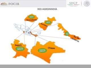 RED AGROINNOVA
Nayarit
Aguascalientes
 
