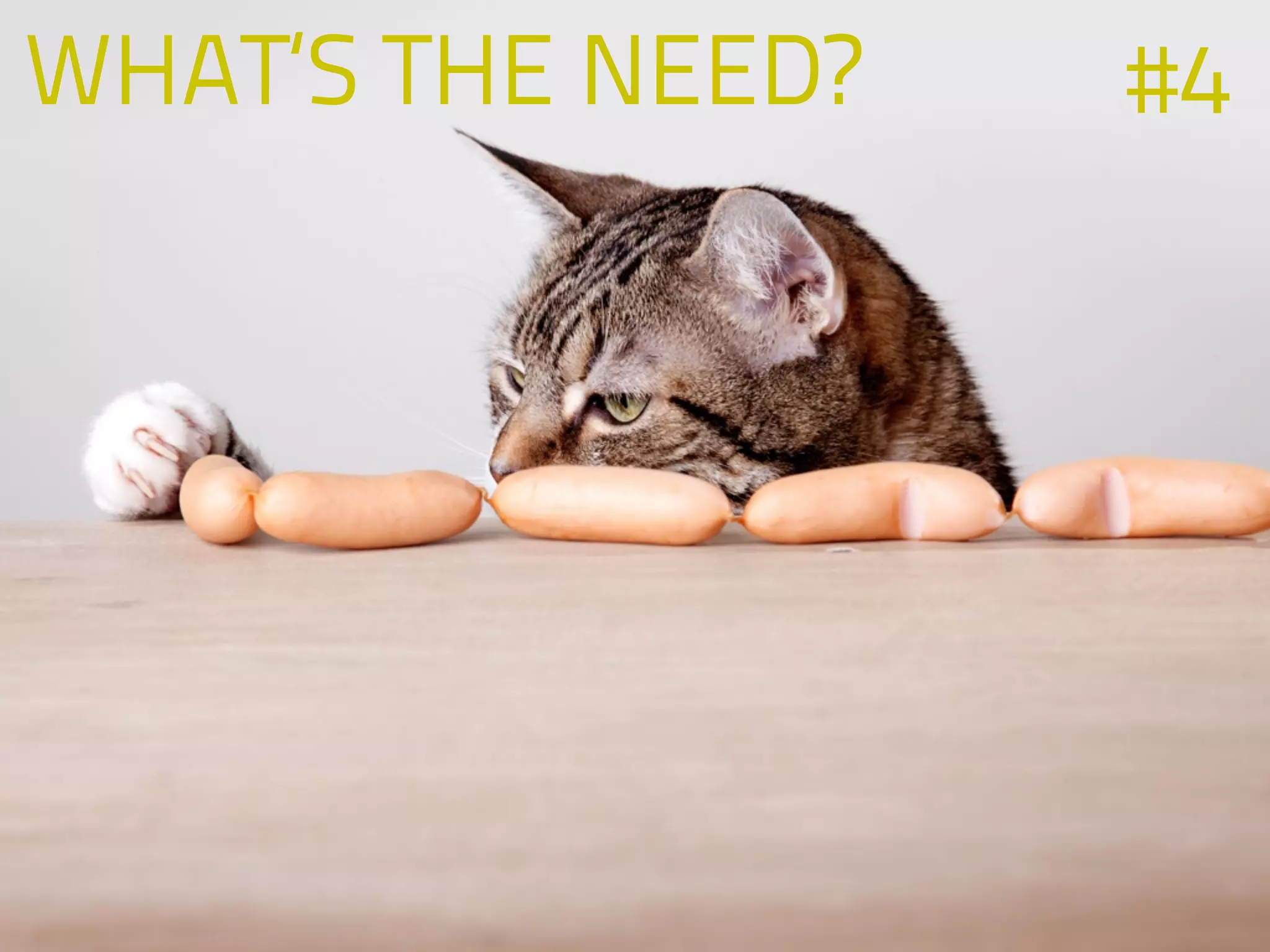 WHAT‘S THE NEED? #4
 