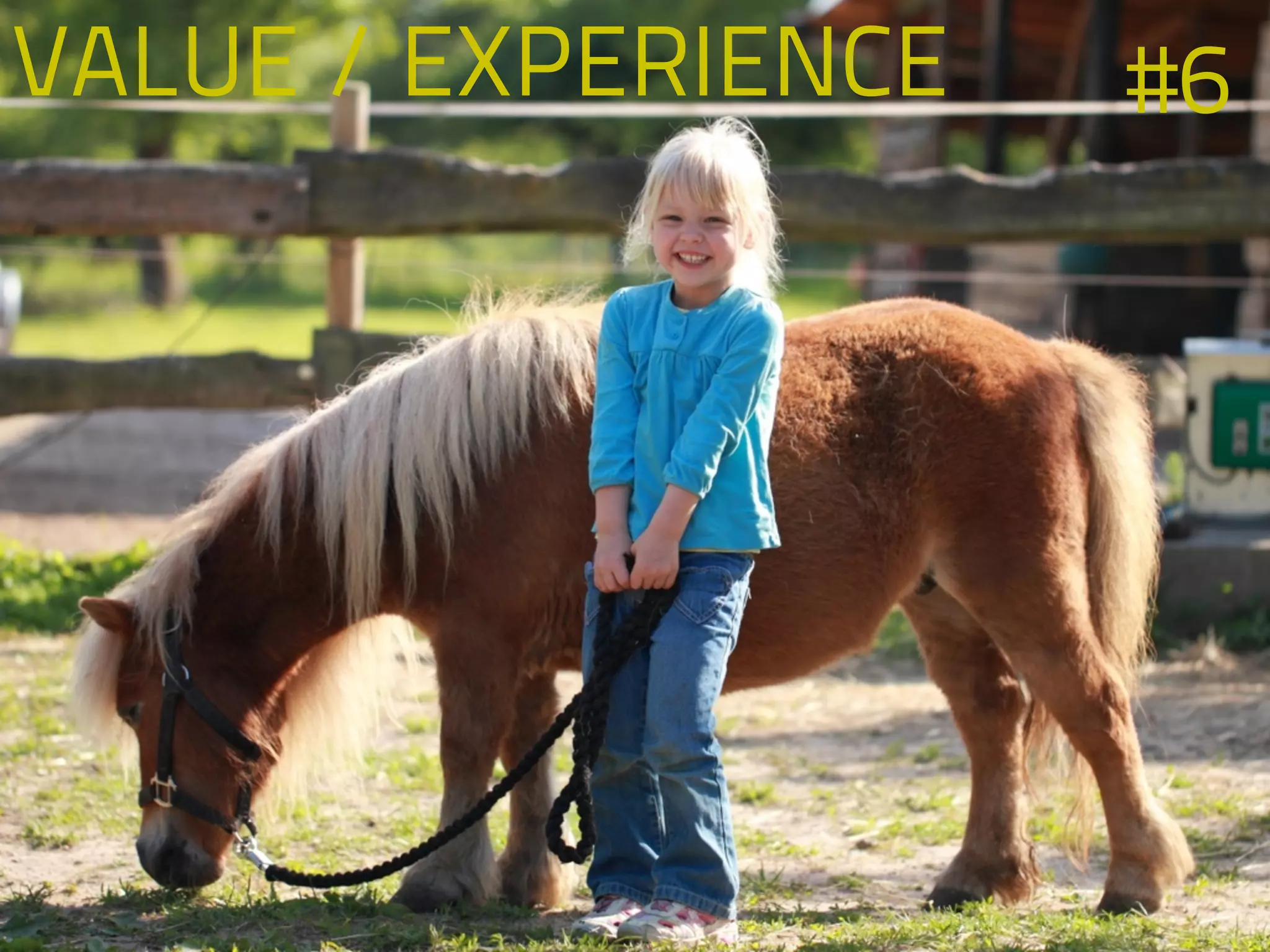 VALUE / EXPERIENCE #6
 