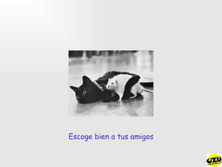 Escoge bien a tus amigos ¯°º¤ø Lobo ø¤º°¯ 