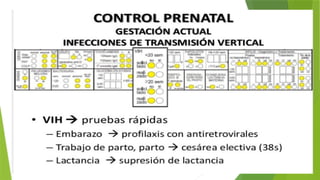 Comprehensive Guide to Prenatal Care and Health Monitoring | PPTX
